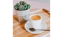 Блюдце 14 см серия  "Optimo"