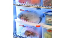 Контейнер с крышкой 1/1 65 мм