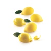 LIMONE&LIME 30 Форма силіконова 55 x 38 h27 mm (форма + каттер)