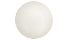 729614 Тарілка