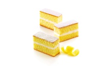 SF026/C Форма силіконова "прямокутник" 79х29 мм, h 30мм