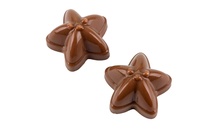 21MA1083 Модуль для шоколаду