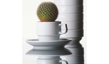 Блюдце 12 см серия "Praha"